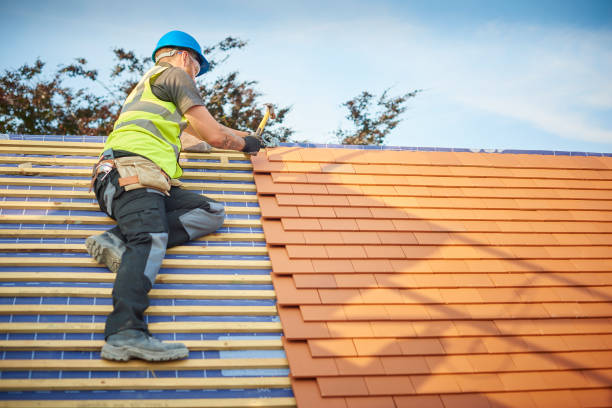 Best Roof Moss and Algae Removal  in Hildale, UT